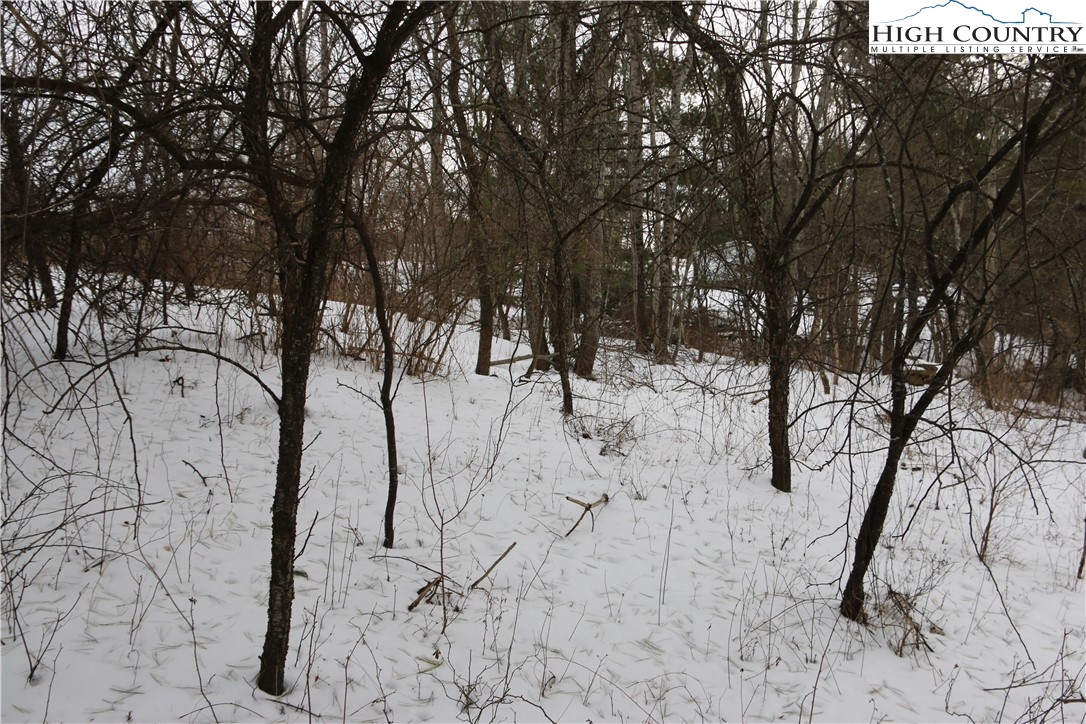 Cedar Hill Drive Crumpler, NC 28617 - Photo 4 of 12