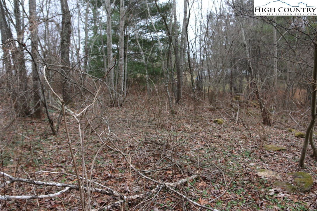 Cedar Hill Drive Crumpler, NC 28617 - Photo 5 of 12