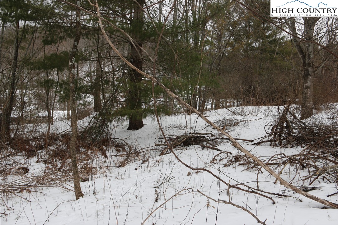 Cedar Hill Drive Crumpler, NC 28617 - Photo 6 of 12