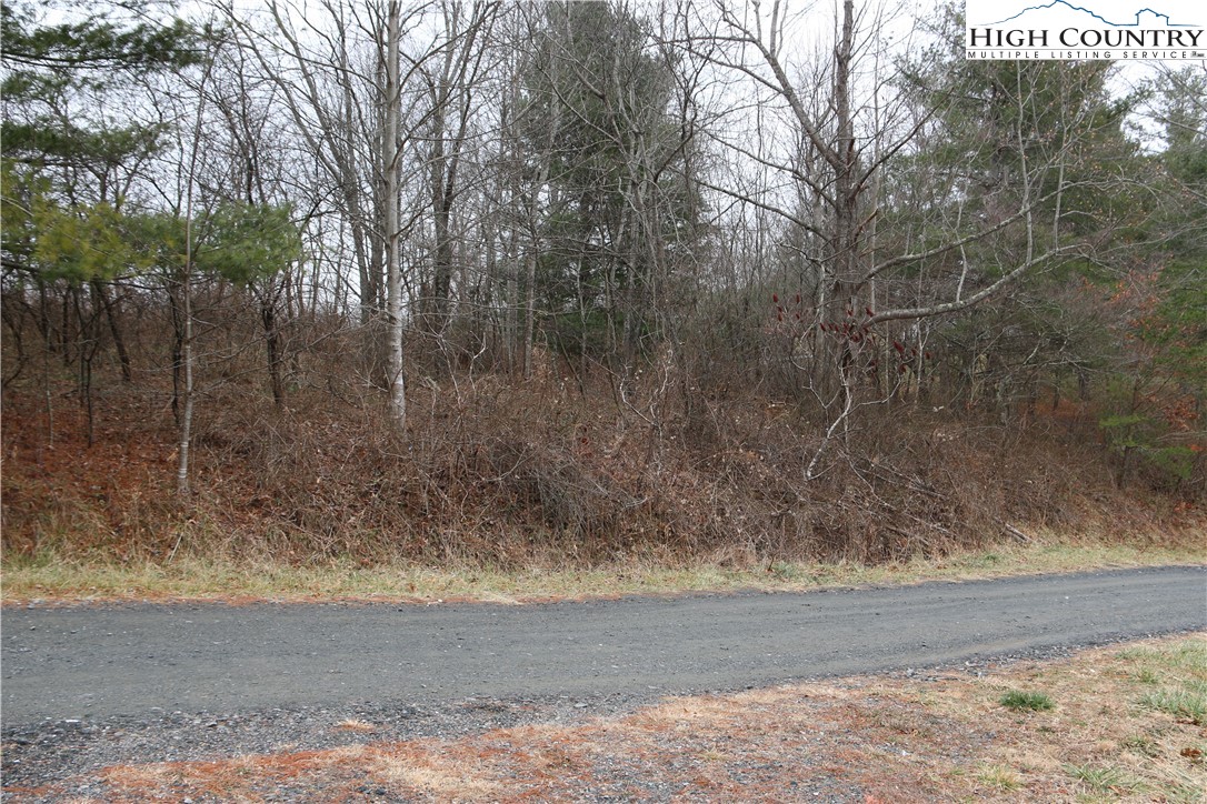 Cedar Hill Drive Crumpler, NC 28617 - Photo 7 of 12