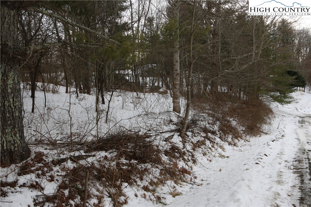 Cedar Hill Drive Crumpler, NC 28617 - Photo 8 of 12