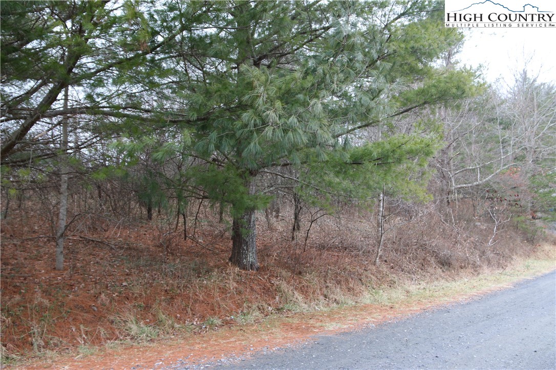 Cedar Hill Drive Crumpler, NC 28617 - Photo 9 of 12