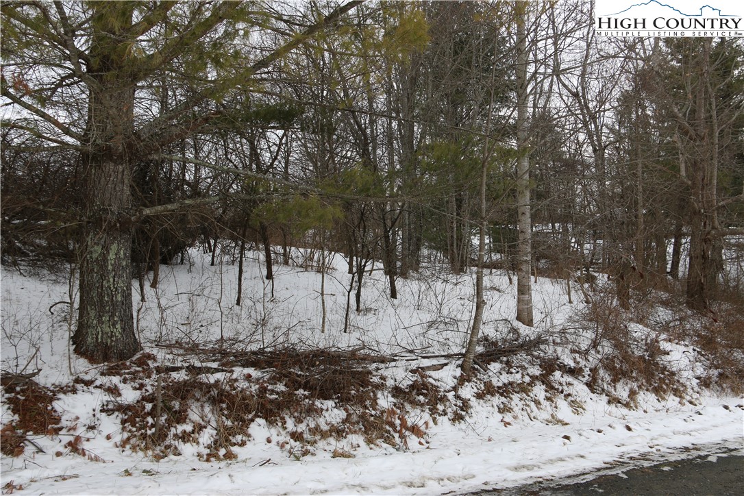 Cedar Hill Drive Crumpler, NC 28617 - Photo 10 of 12