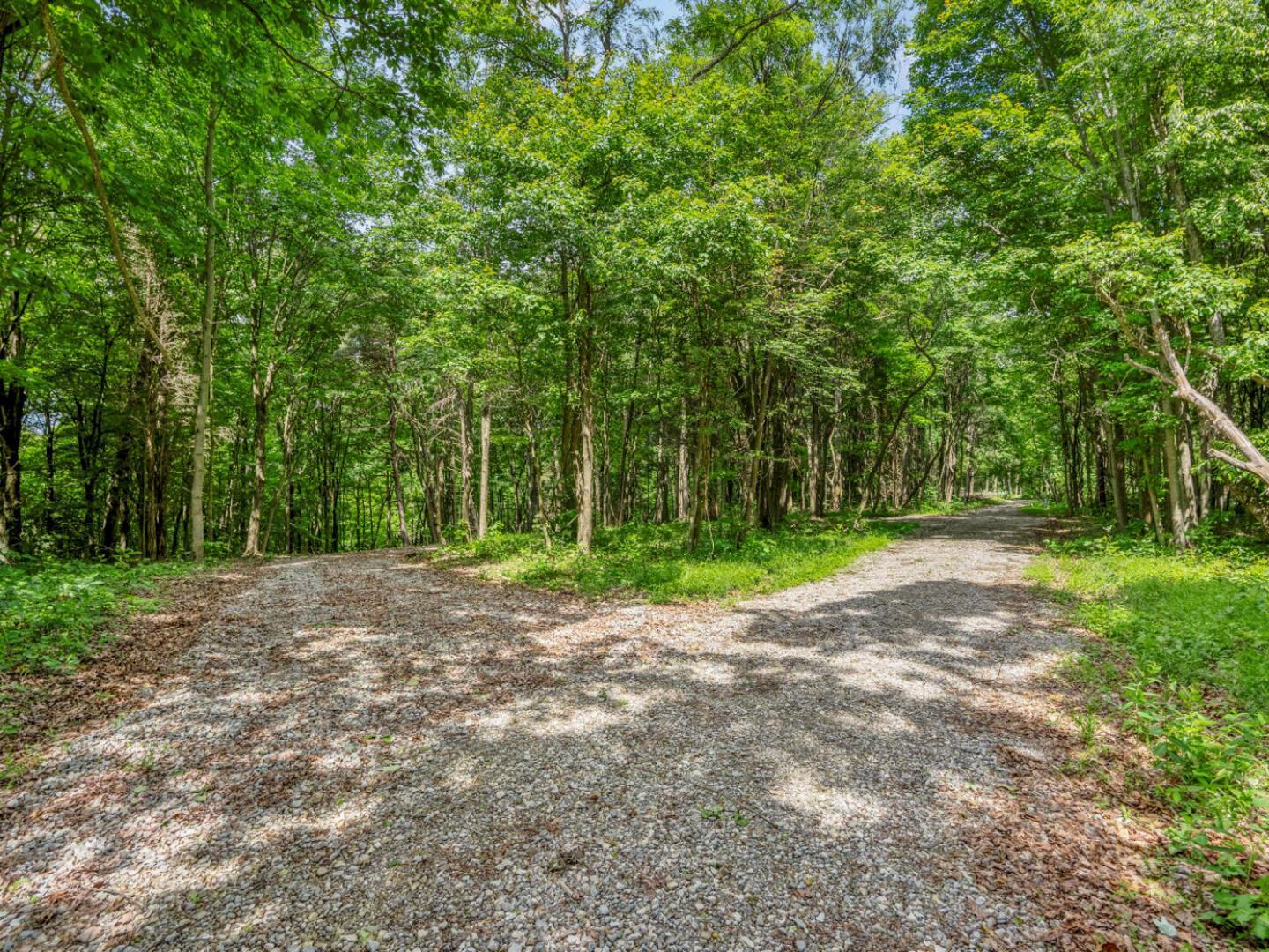0 Potts Hill Road Bainbridge, OH 45612 - Photo 4 of 34 0 3