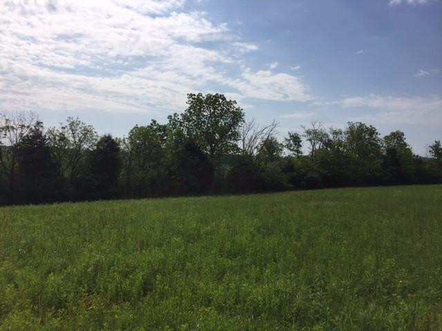 2164 Chrisman Mill Road Nicholasville, KY 40356 - Photo 11 of 18 Photo 11