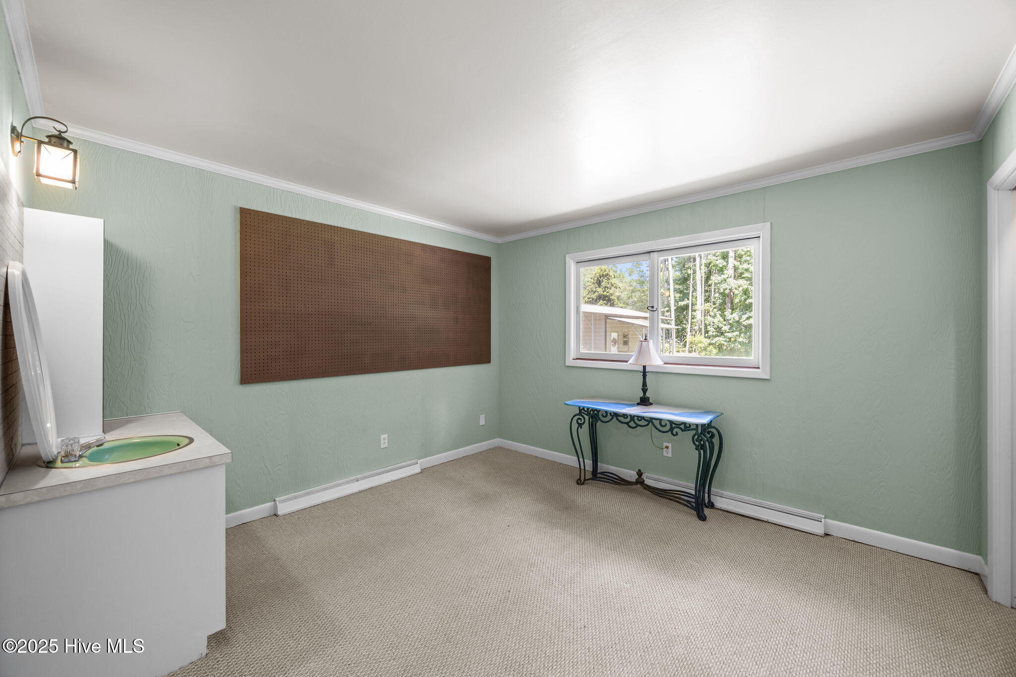 6563 River Road Washington, NC 27889 - Photo 16 of 34 30-web-or-mls-BLS_0054