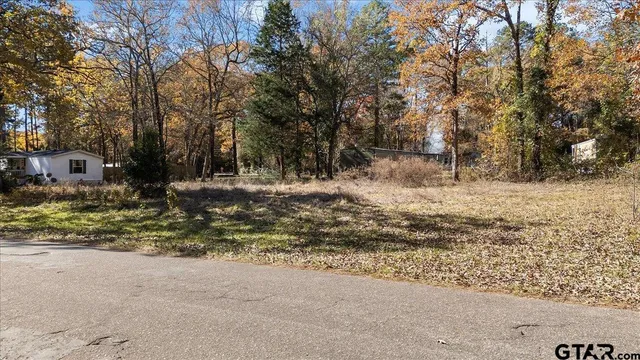 a view of a yard with a tree