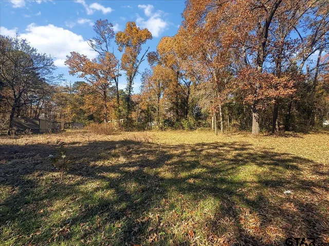 a view of yard covered with snow