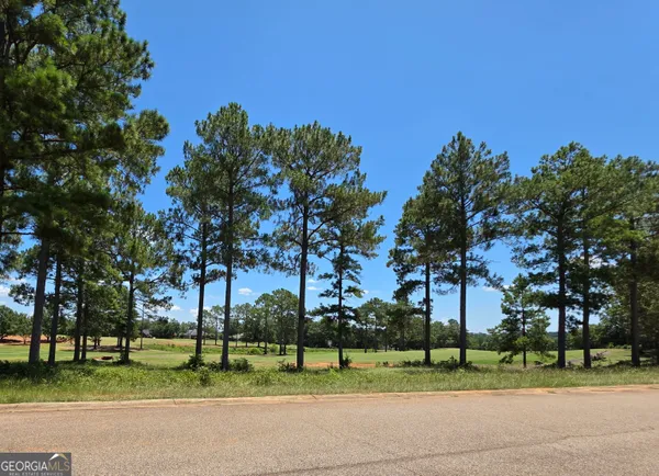 $75,000 | Lot 10-11 Camden Way, Hawkinsville, GA 31036