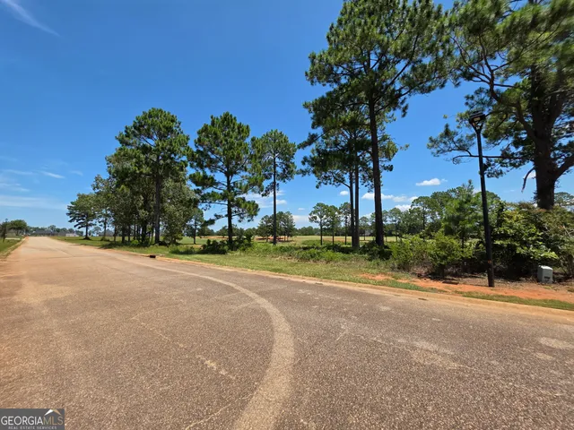 $75,000 | Lot 10-11 Camden Way, Hawkinsville, GA 31036