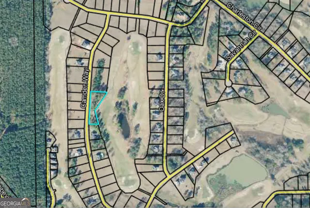 $75,000 | Lot 10-11 Camden Way, Hawkinsville, GA 31036