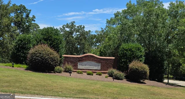 $75,000 | Lot 10-11 Camden Way, Hawkinsville, GA 31036