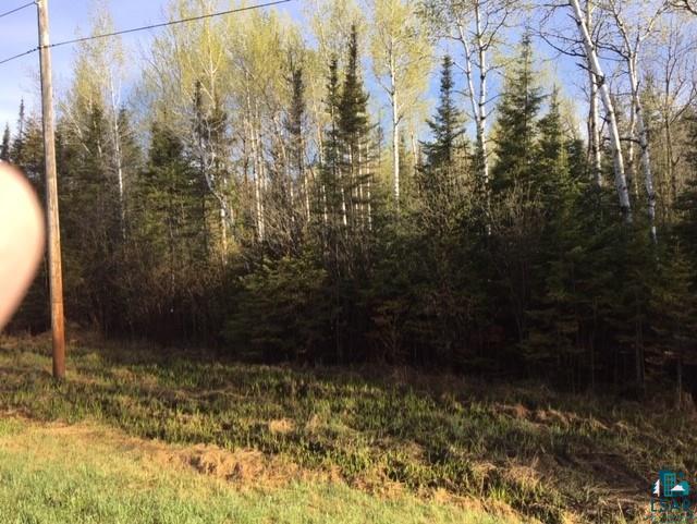 1467 Gun Club Road Two Harbors, MN 55616 - Photo 3 of 5