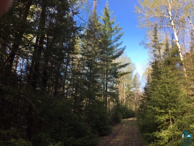 1467 Gun Club Road Two Harbors, MN 55616 - Photo 4 of 5