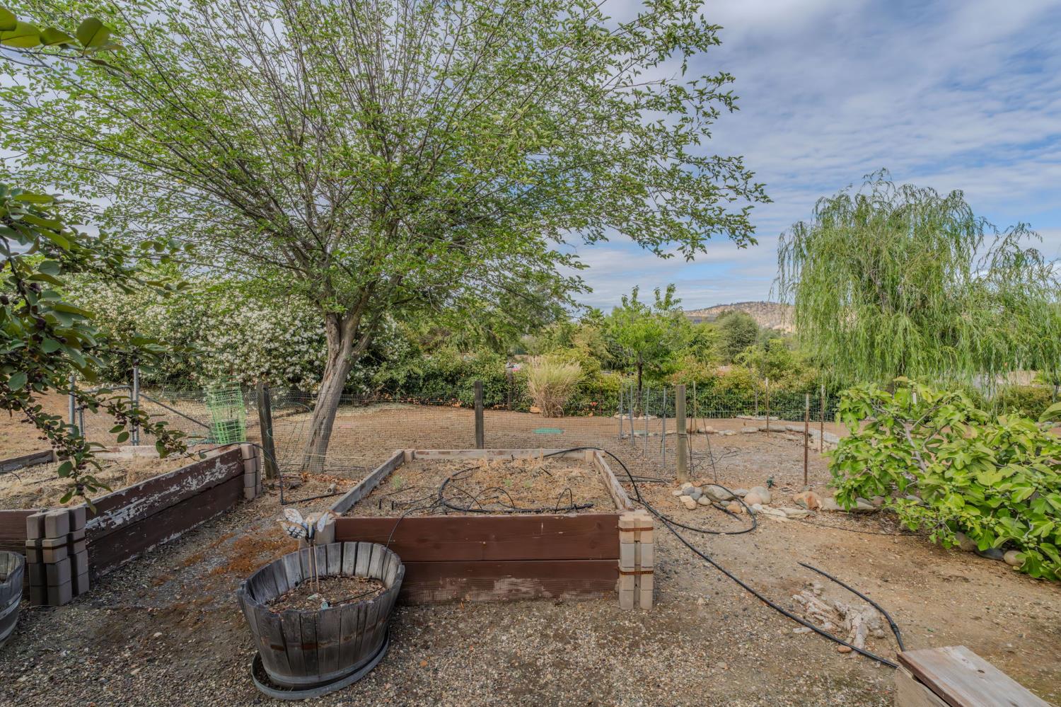 1797 Hoya Court Copperopolis, CA 95228 - Photo 66 of 85
