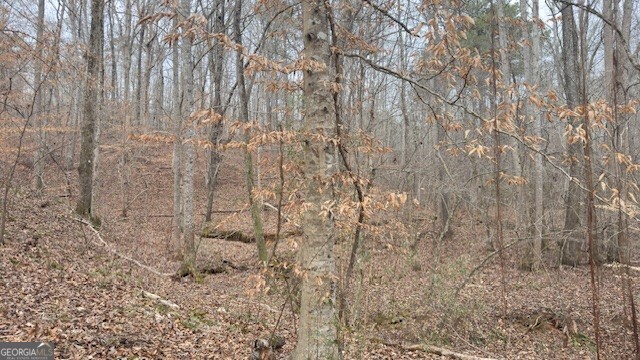 0 Lot2 N Helton Road Winston, GA 30187 - Photo 5 of 7 a close view of shower tap