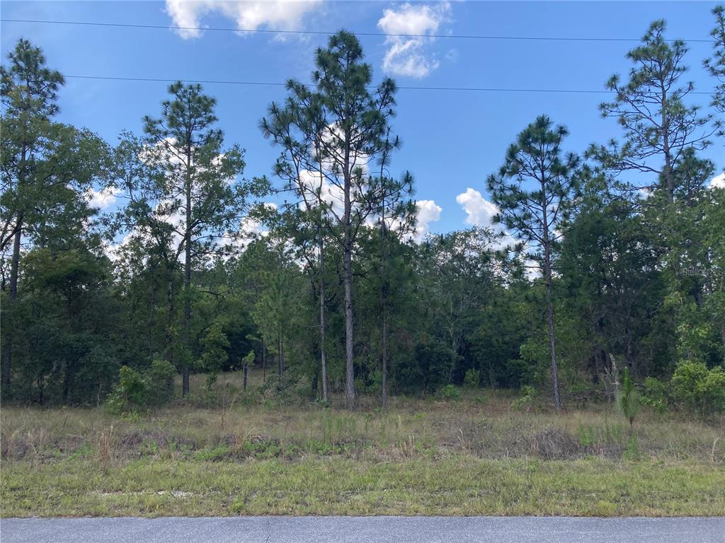 Tbd Southwest Beaver Drive Dunnellon, FL 34431 - Photo 1 of 1