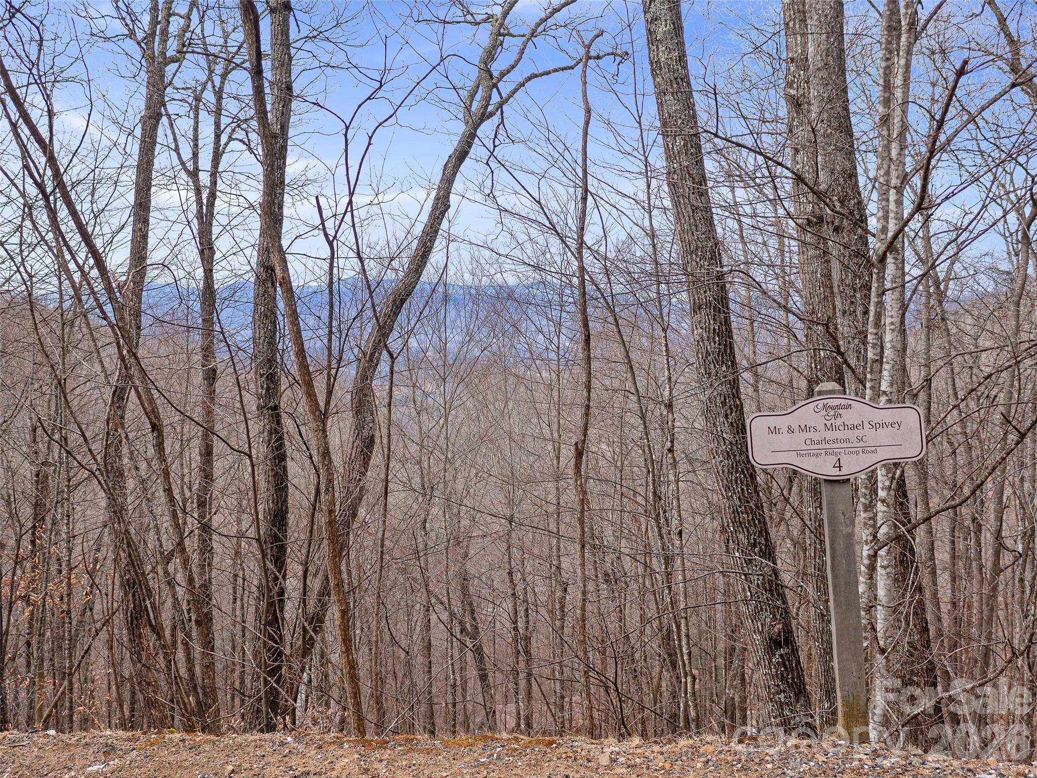 Lot 4 Heritage Ridge Road Burnsville, NC 28714 - Photo 2 of 28 a view of a backyard with of a house
