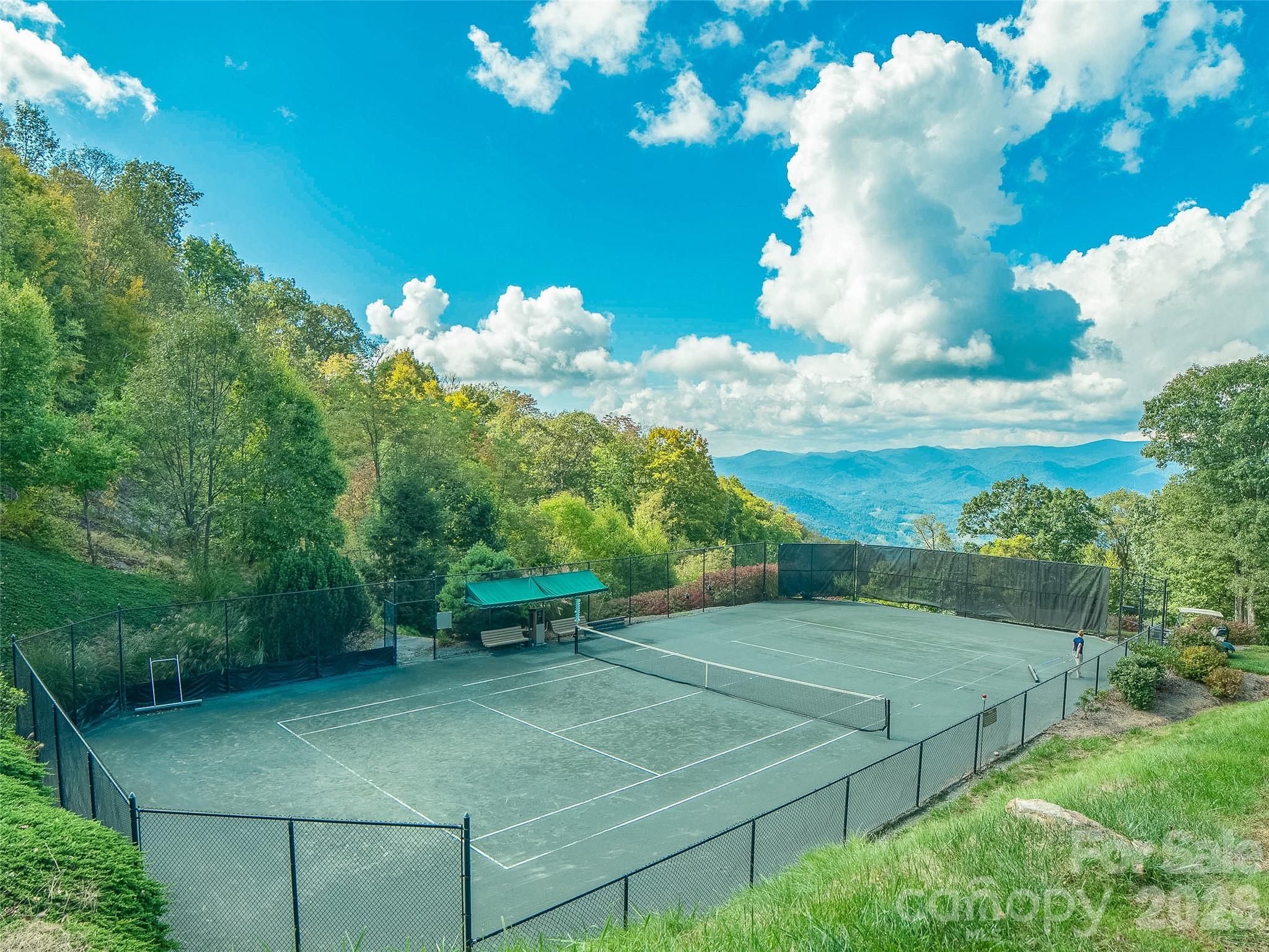 Lot 4 Heritage Ridge Road Burnsville, NC 28714 - Photo 26 of 28 a view of a backyard