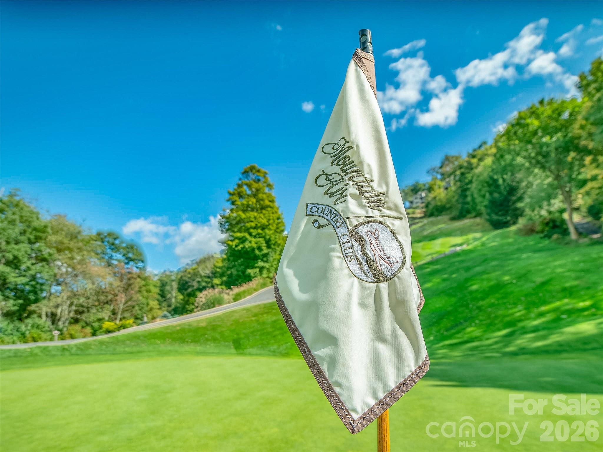 Lot 4 Heritage Ridge Road Burnsville, NC 28714 - Photo 28 of 28 a view of a swimming pool with a garden