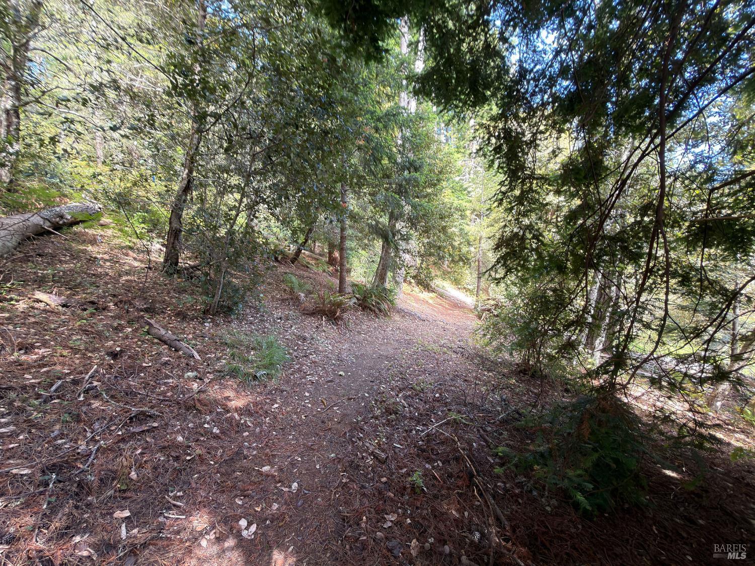 76 Compass Close The Sea Ranch, CA 95497 - Photo 5 of 29
