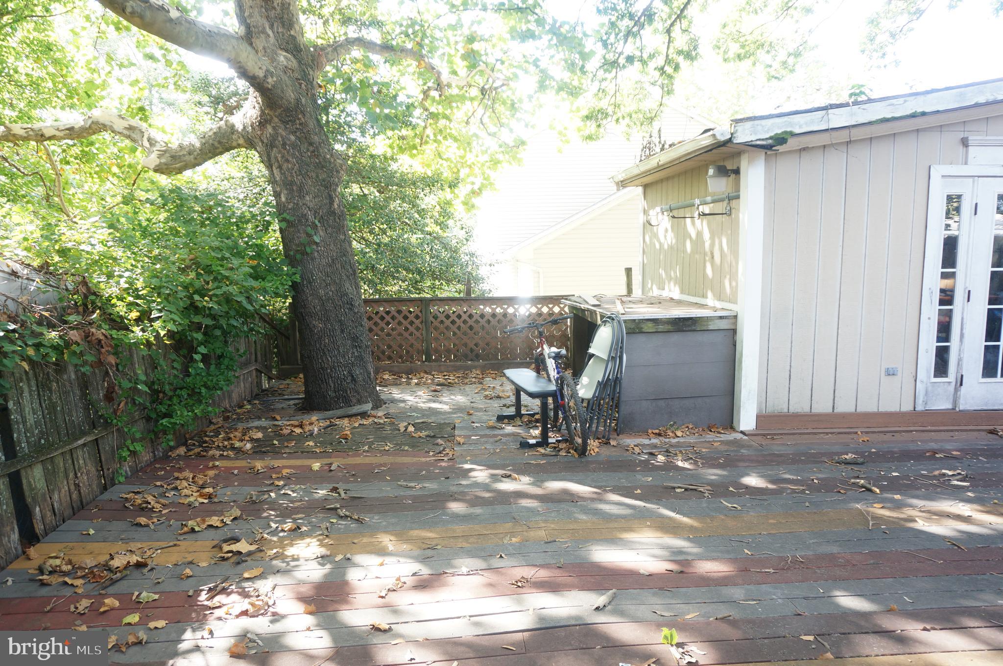 5603 Hawthorne Street Cheverly, MD 20785 - Photo 83 of 88 a view of a outdoor space with a tree