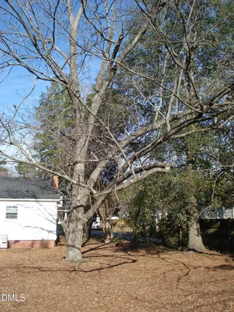 a view of yard with wooden fence