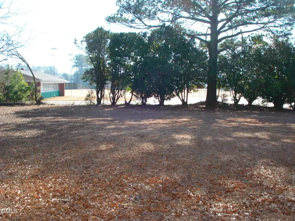 a view of dirt yard with a large tree