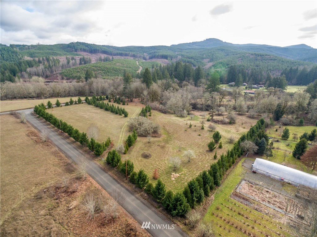 2 Hendrickson Road Vader, WA 98593 - Photo 11 of 18 Gallery Image 11