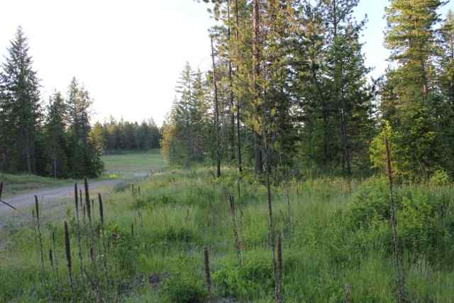 Xx Xx Stonebrook Way Springdale, WA 99173 - Photo 1 of 9