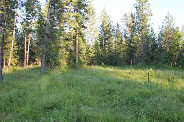 Xx Xx Stonebrook Way Springdale, WA 99173 - Photo 2 of 9