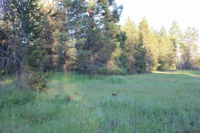 Xx Xx Stonebrook Way Springdale, WA 99173 - Photo 3 of 9