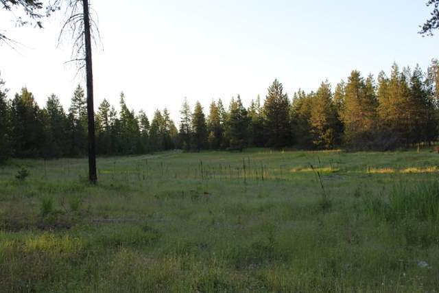 Xx Xx Stonebrook Way Springdale, WA 99173 - Photo 5 of 9
