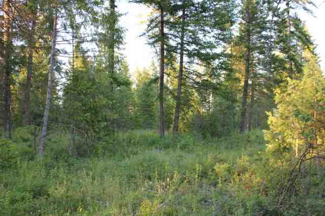 Xx Xx Stonebrook Way Springdale, WA 99173 - Photo 7 of 9