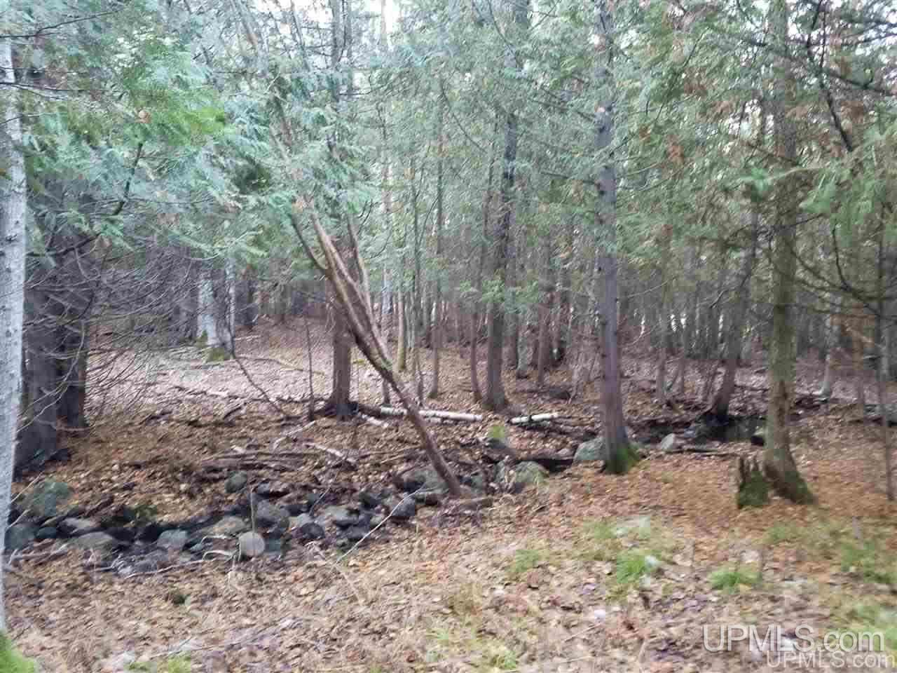Tbd Valley View Road Norway, MI 49870 - Photo 18 of 27