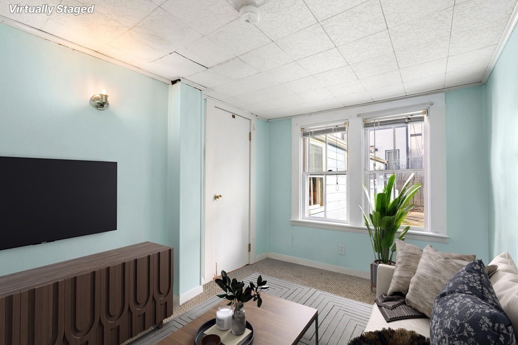 12 Spring Street Newton, MA 02464 - Photo 18 of 42 a living room with furniture wooden floor and a potted plant