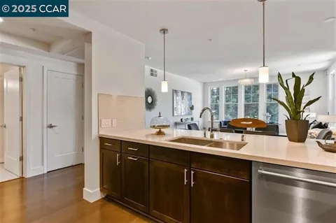 a kitchen with a sink a potted plant and wooden floor