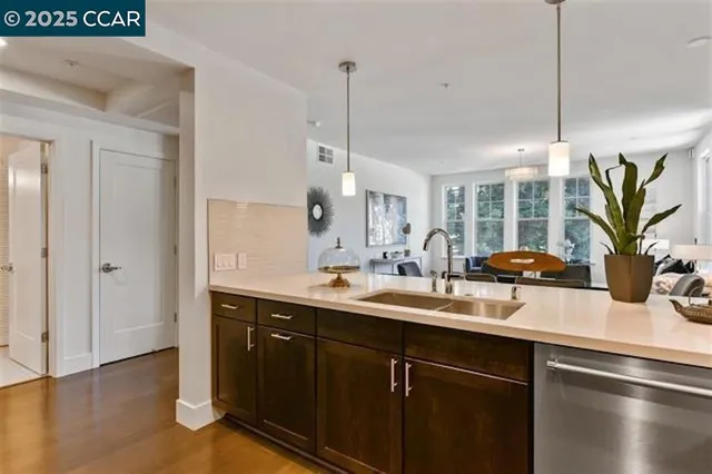 a kitchen with a sink a potted plant and wooden floor
