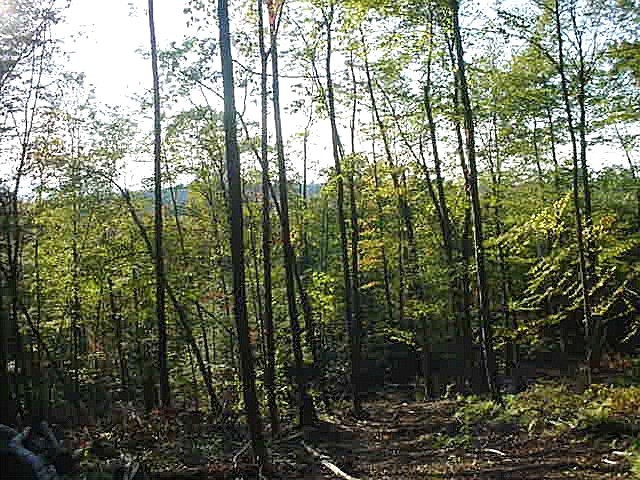 117 Brush Hill Road Great Barrington, MA 01230 - Photo 1 of 9 great views at the top