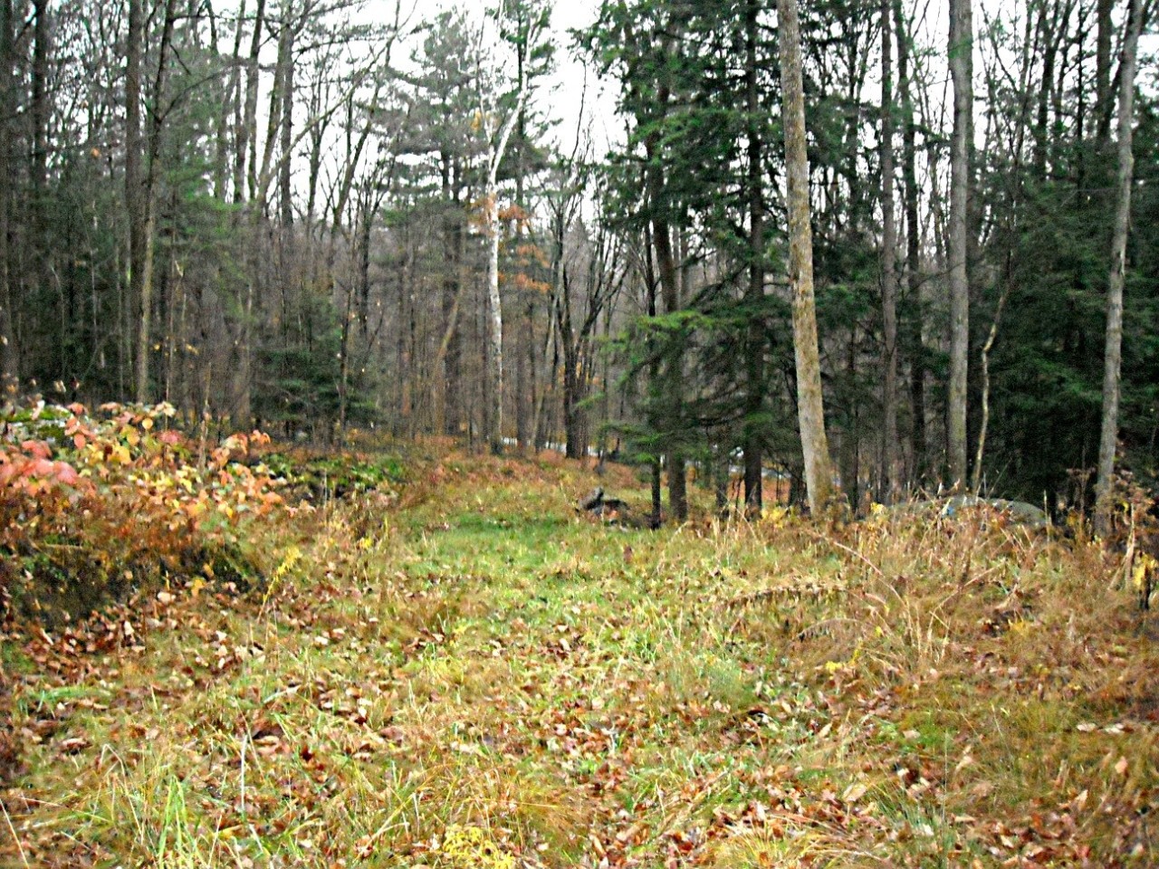 117 Brush Hill Road Great Barrington, MA 01230 - Photo 2 of 9 selection of home-sites