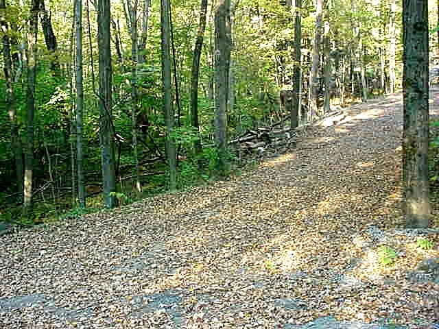 117 Brush Hill Road Great Barrington, MA 01230 - Photo 5 of 9 close-up of the driveway