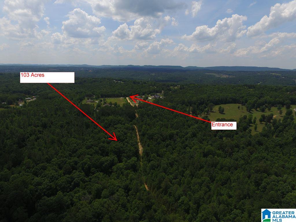 12 County Road, Unit 103 Odenville, AL 35120 - Photo 3 of 8