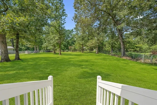 a view of a park with large trees