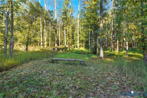a view of a park with a tree