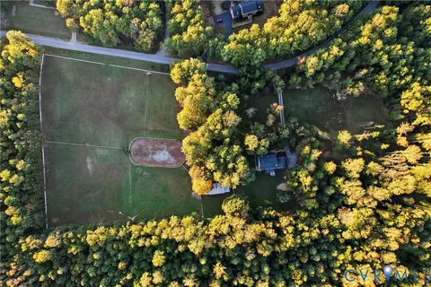 a view of a tree with a flower in a garden