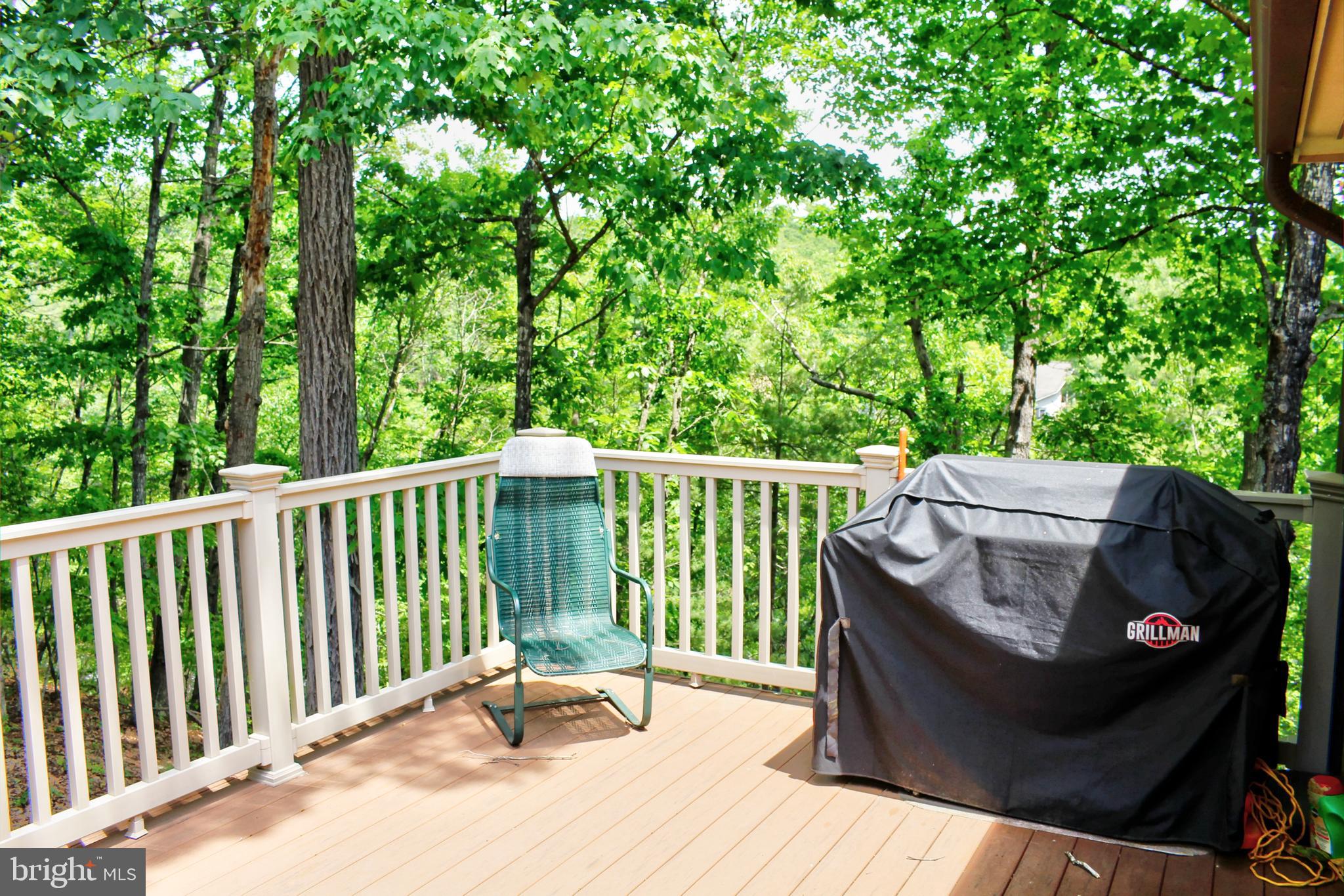 36 Ewells Rdg Road Basye, VA 22810 - Photo 16 of 53 Rear Deck