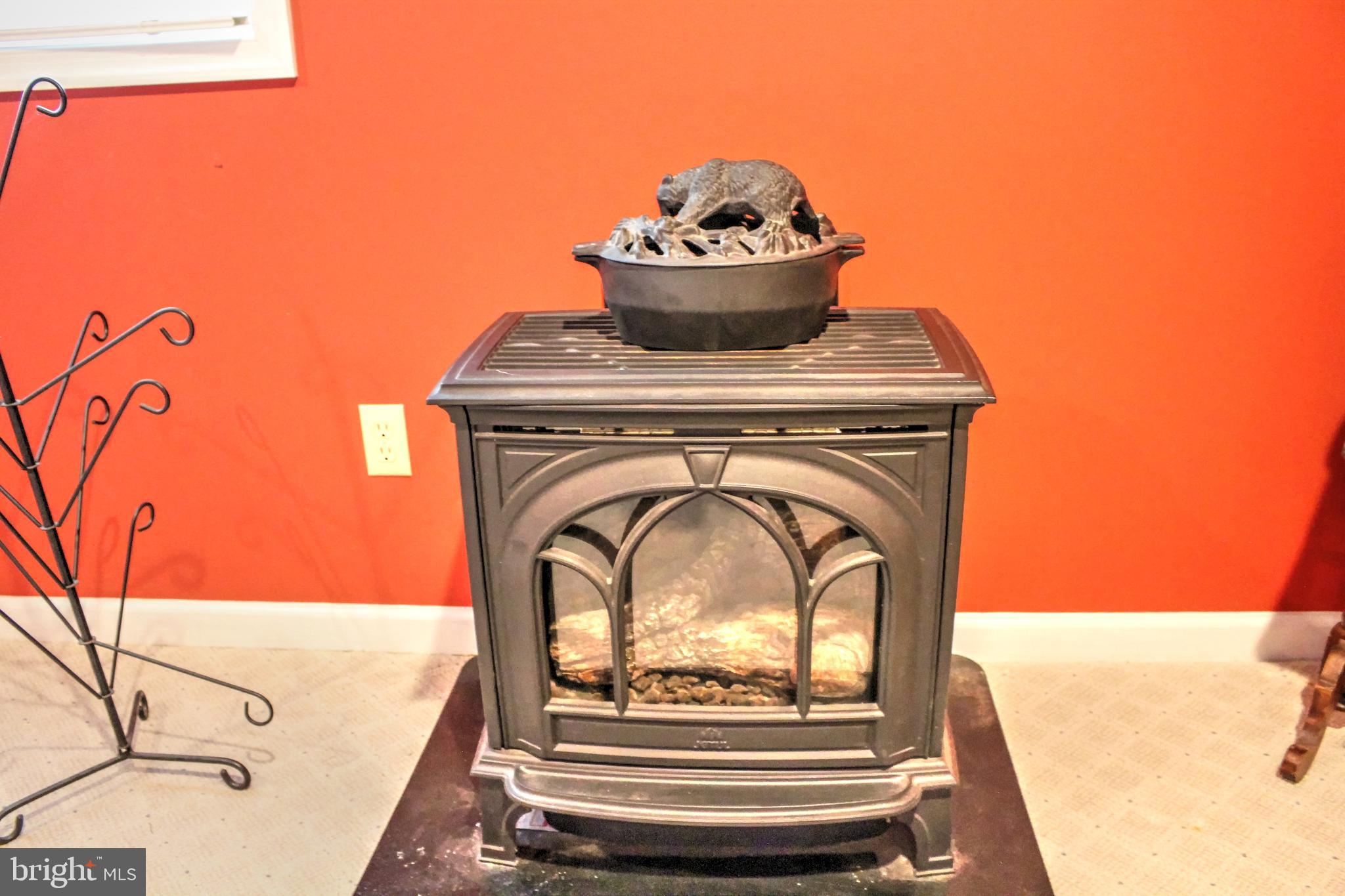 36 Ewells Rdg Road Basye, VA 22810 - Photo 36 of 53 with old fashion gas stove