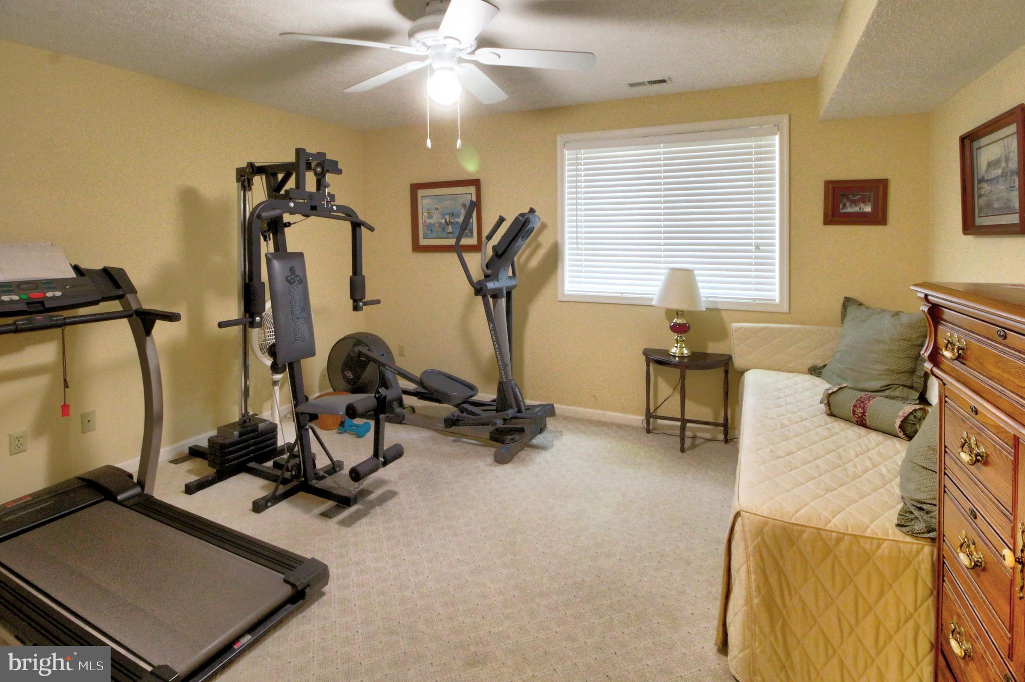 36 Ewells Rdg Road Basye, VA 22810 - Photo 39 of 53 Lower Level Bedroom or exercise room