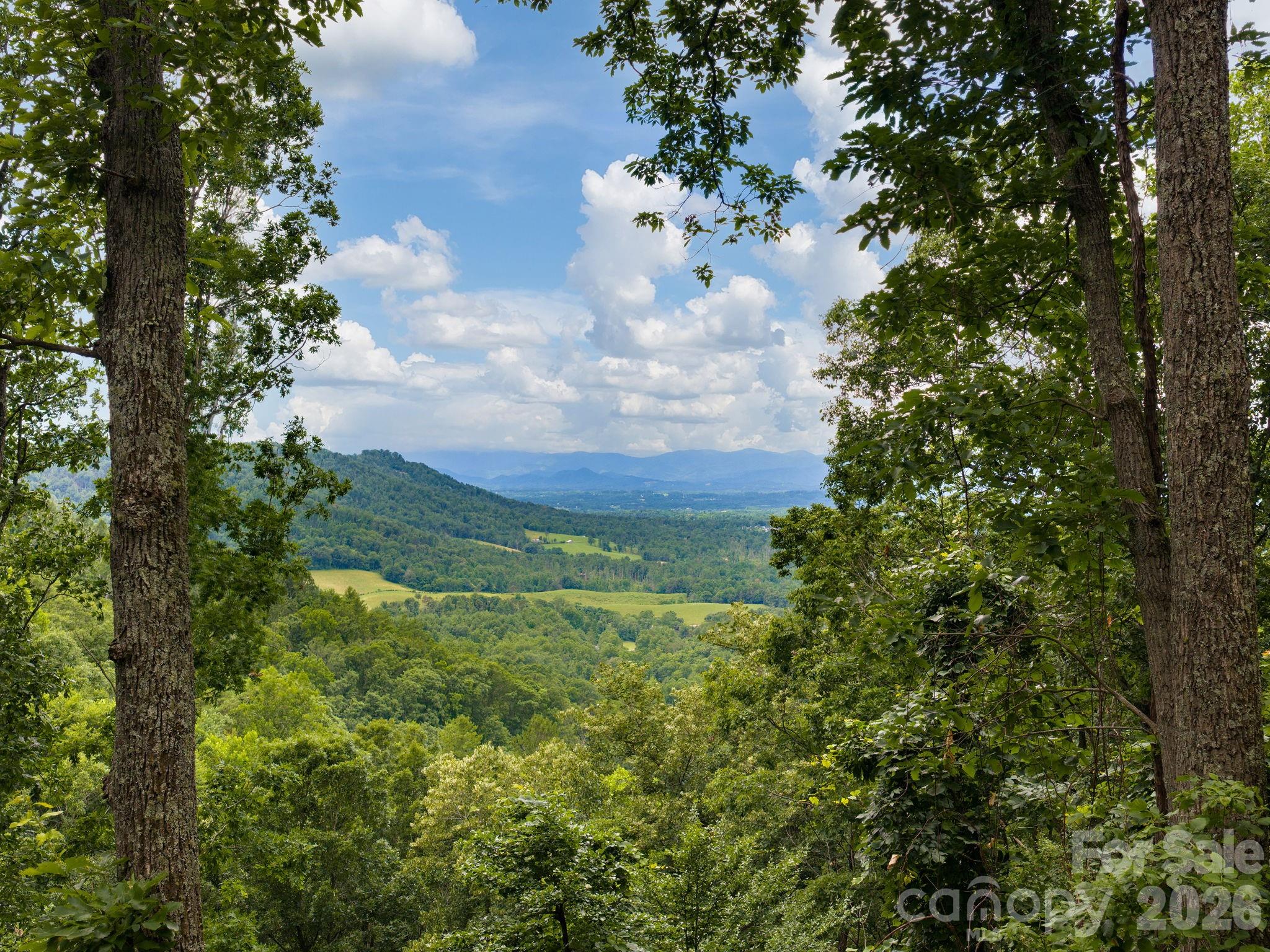 46 Perennial Ridge Weaverville, NC 28787 - Photo 37 of 44