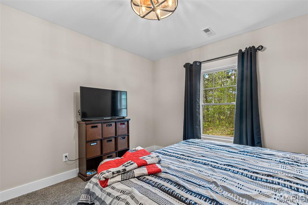 213 Rue Marseilles Bonne Terre, MO 63628 - Photo 63 of 68